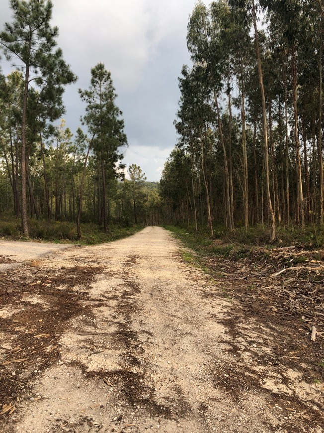 Lugar Alencarce de Cima