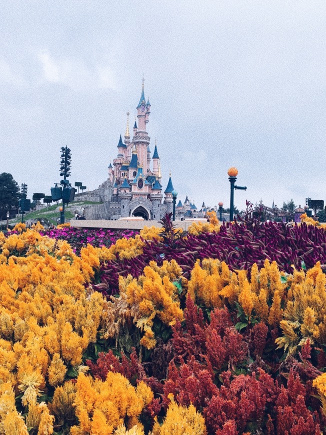 Place Disneyland Paris