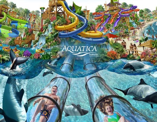 Aquatica Orlando - Florida Water Park | 