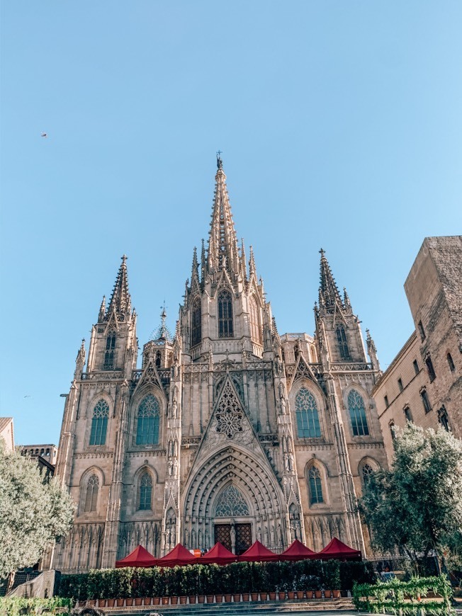 Place Catedral de Barcelona