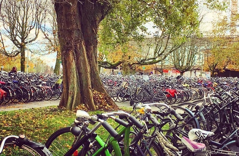 Lugar Amsterdam en Bicicleta