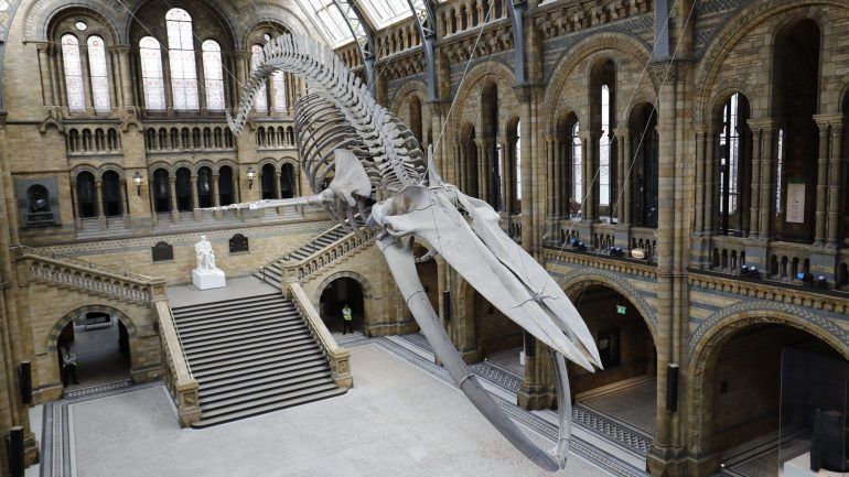 Place Natural History Museum