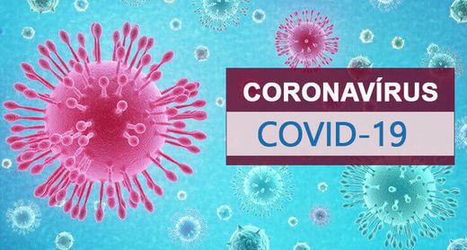 Qual é a origem do novo coronavírus? | Coronavírus | G1