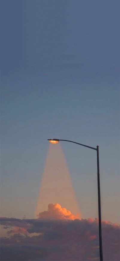 Moda Street Light