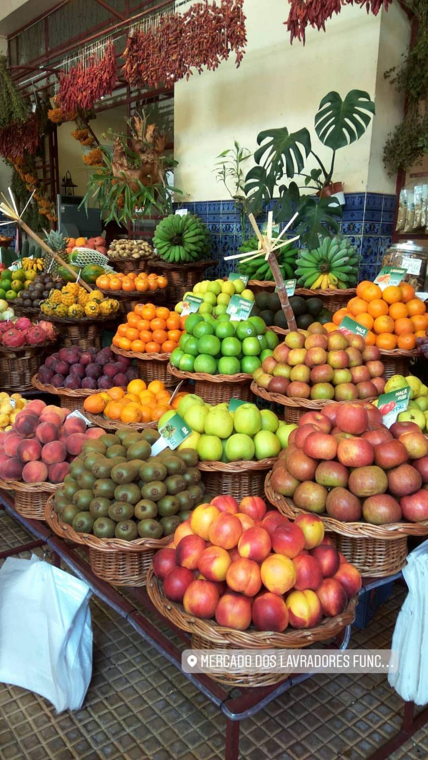 Lugar Mercado dos Lavradores