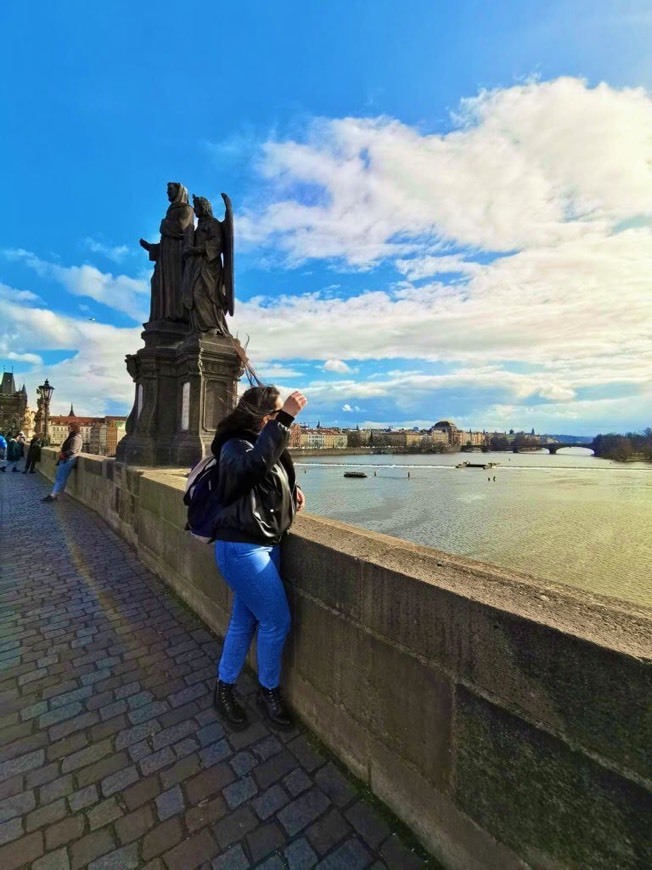 Place Charles Bridge