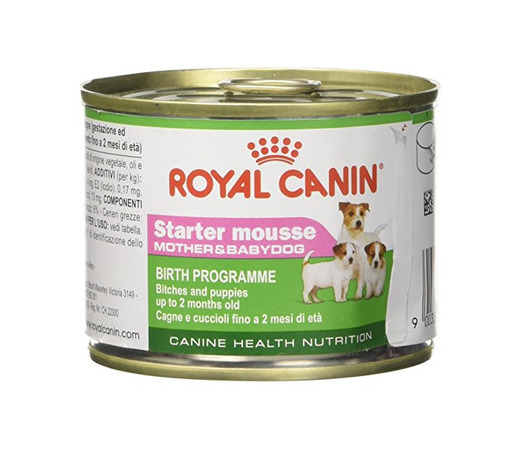 Royal Canin C-08313 Starter Mousse