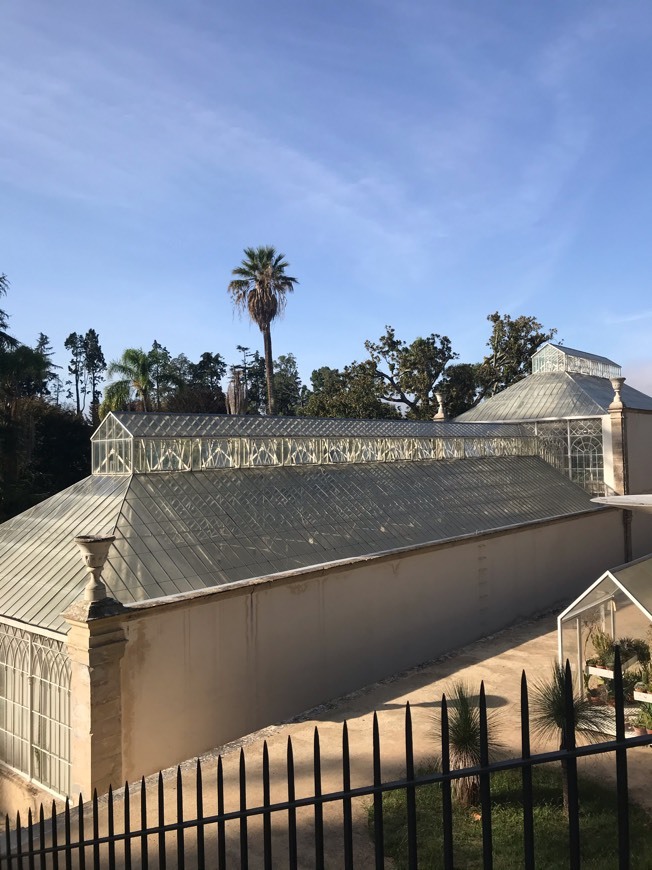 Social Jardim Botânico - Universidade de Coimbra 