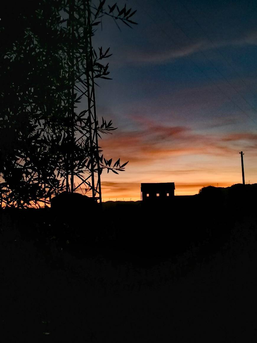 📷