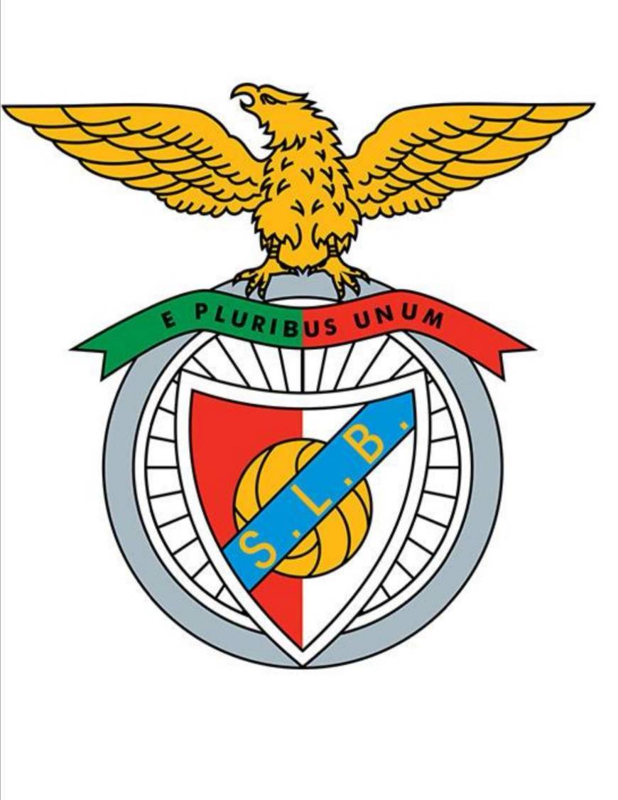 Moda Benfica 