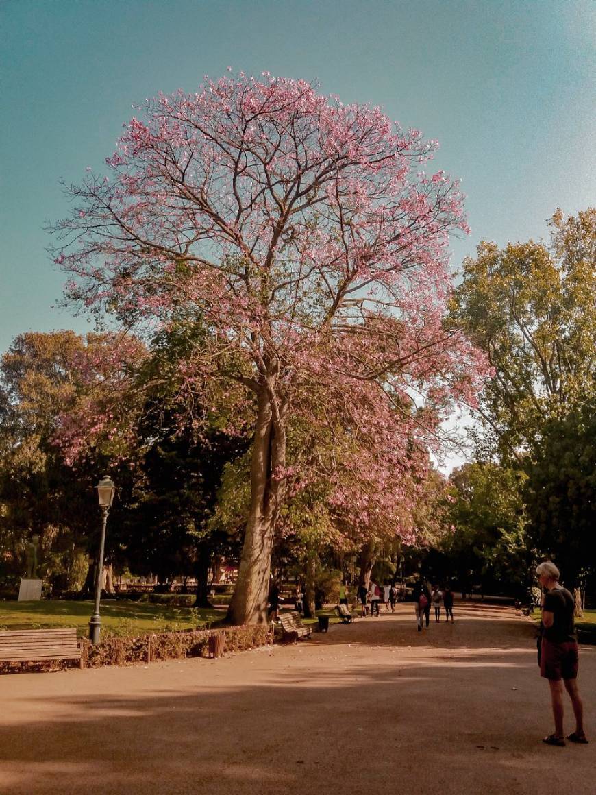 Place Jardim da Estrela