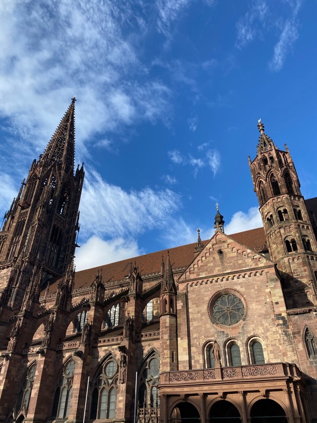 Place Freiburg Cathedral