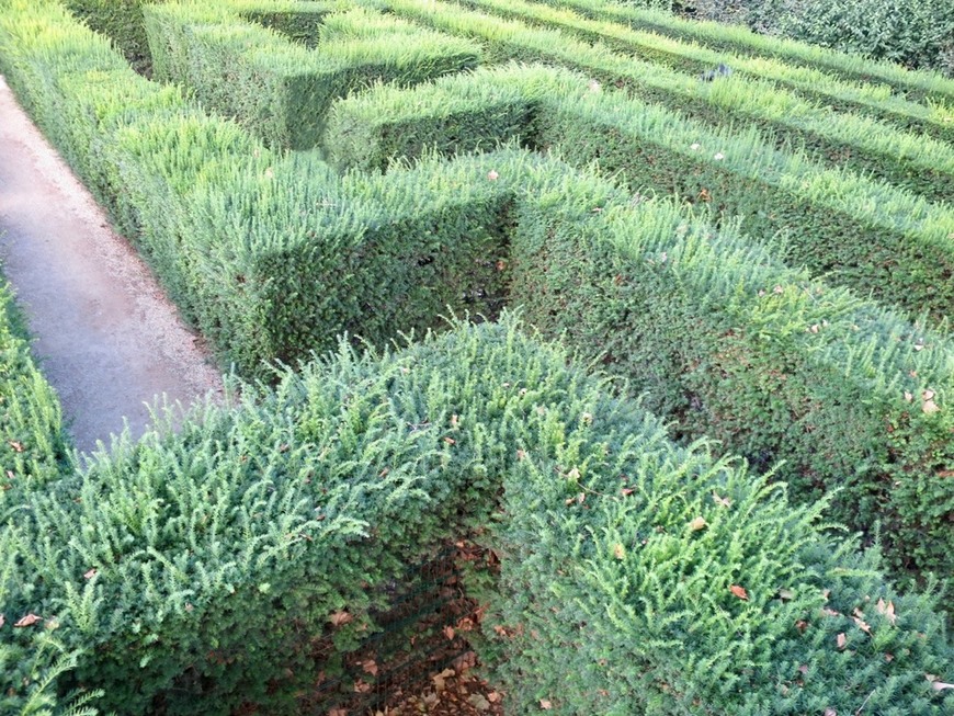 Lugar Maze