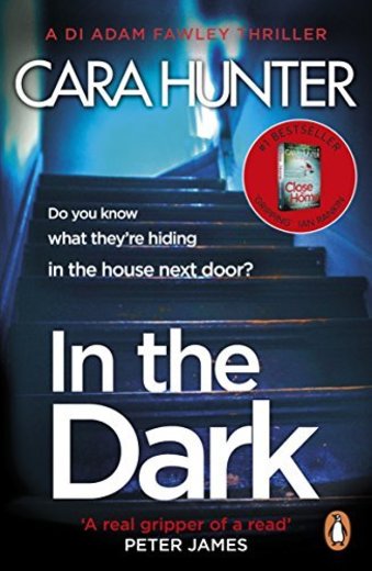 In The Dark: from the Sunday Times bestselling author of Close to