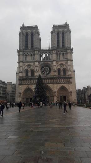 Catedral de Notre Dame