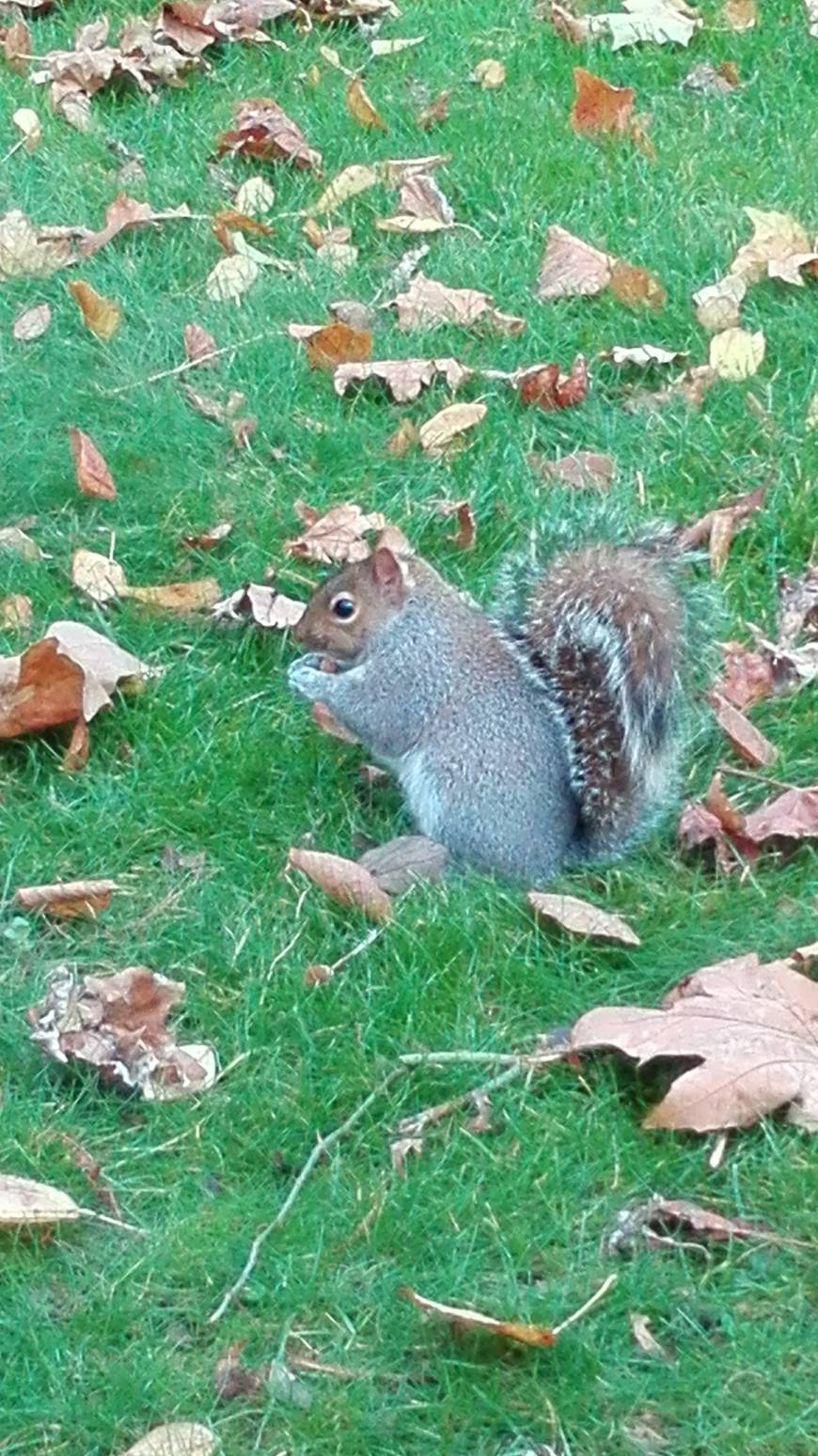 Place St James' Park