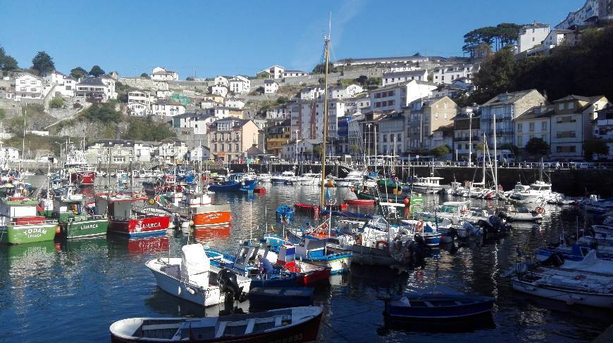 Lugar Puerto de Luarca