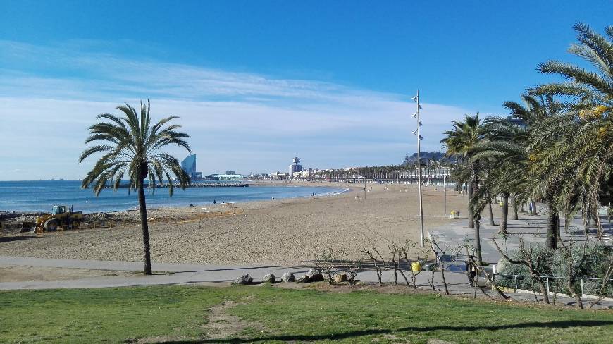 Place Platja del Somorrostro