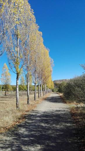 Sanabria