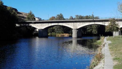 Viaducto del Rio Tera