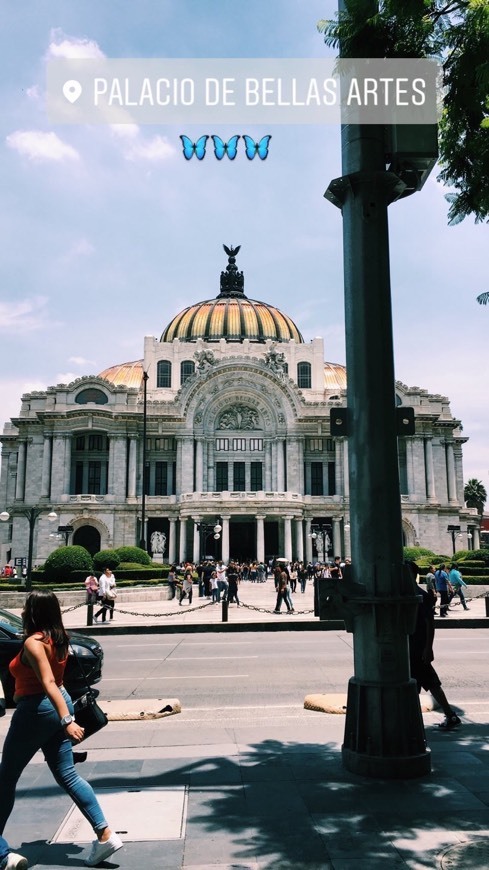 Moda Palácio de Bellas Artes