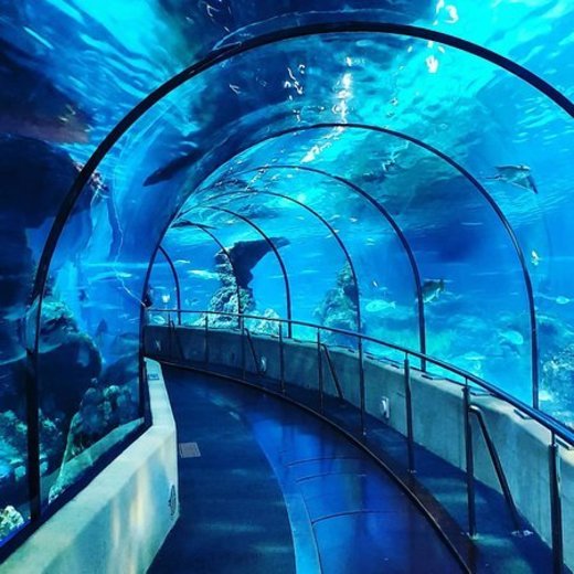 Aquarium de Barcelona