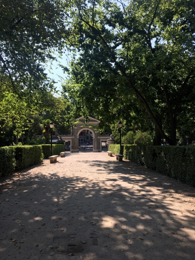 Place Real Jardín Botánico