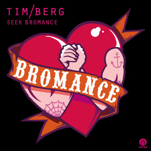 Seek Bromance (Avicii Vocal Edit)