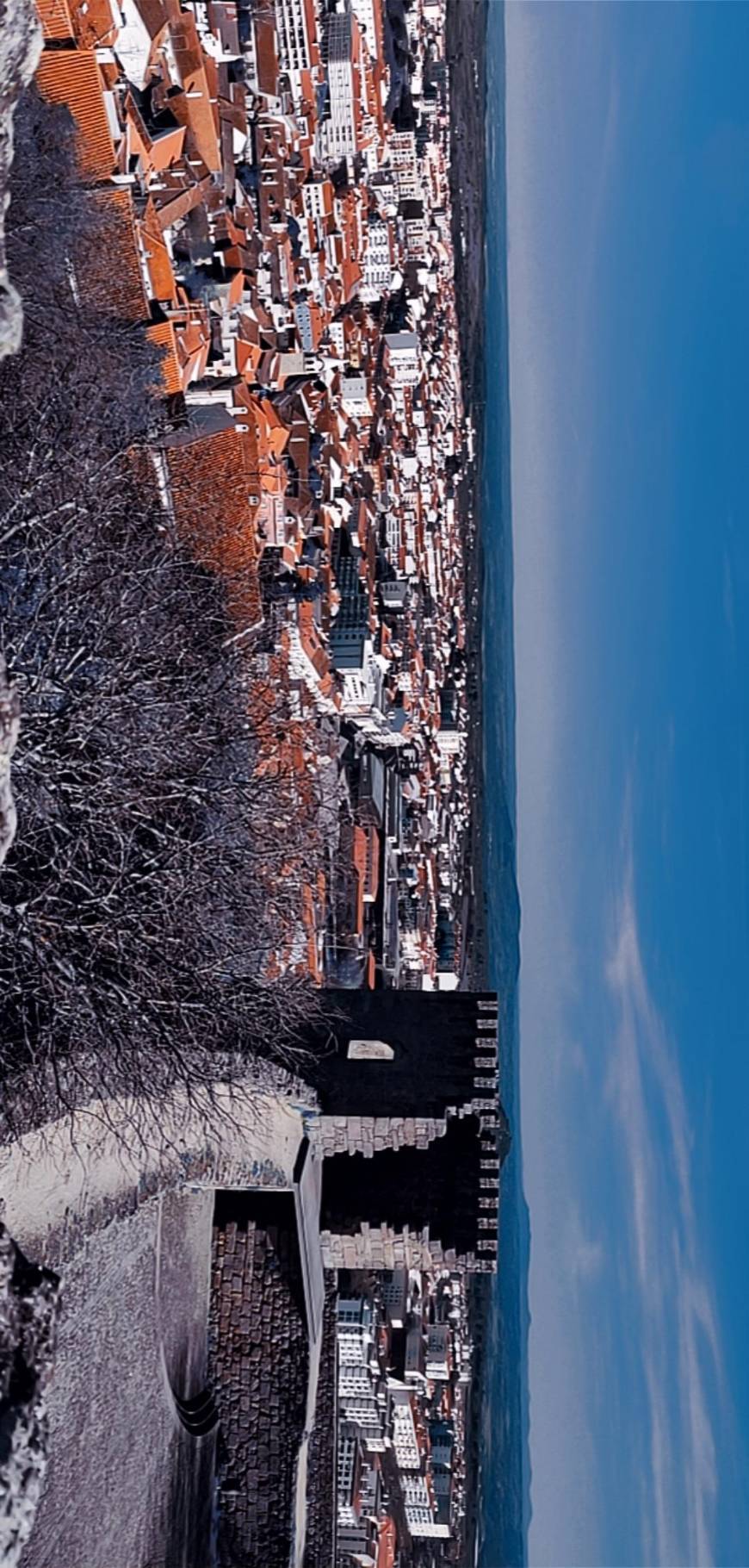 Castelo Branco