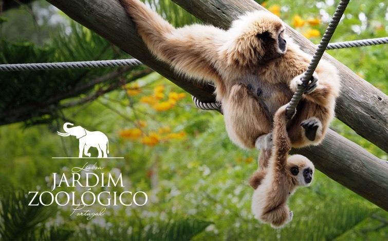 Lugar Jardim Zoológico de Lisboa