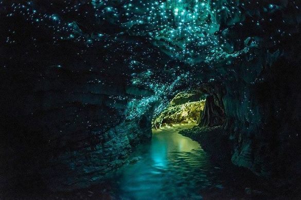 Lugar Waitomo Glowworm Caves