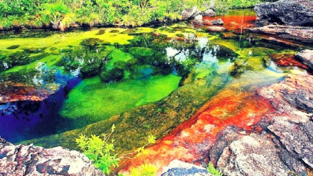 Lugar Via Río Caño Cristales