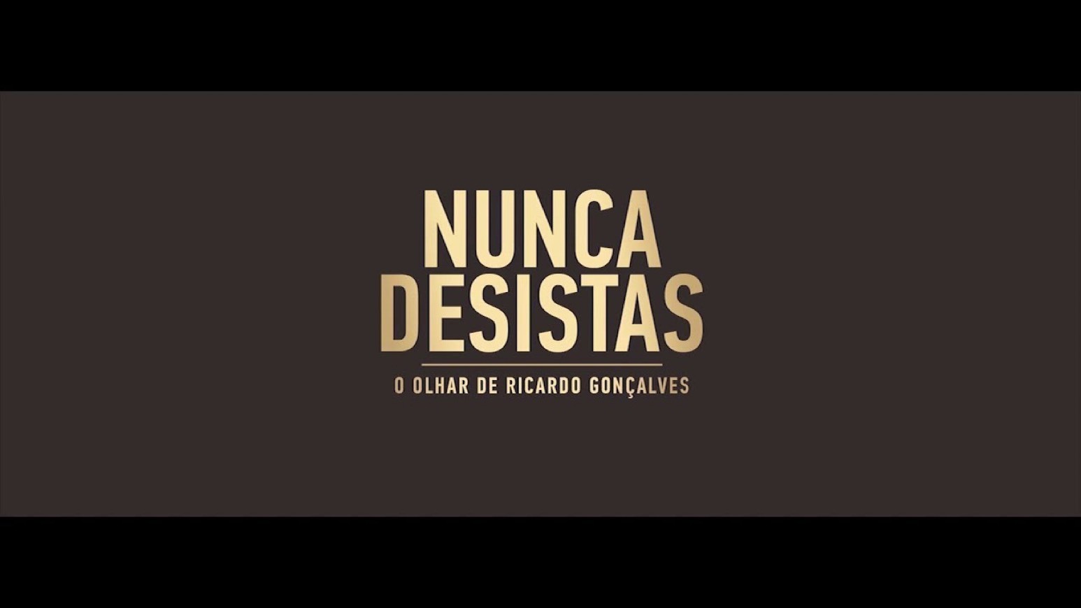 Moda ..:: NUNCA DESISTAS ::.. O Olhar de Ricardo Gonçalves 📔