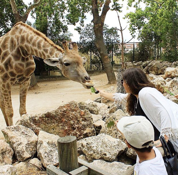 Lugar Jardim Zoológico de Lisboa