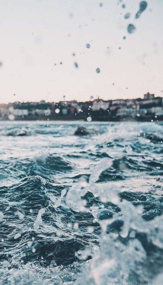 Moda 🌊