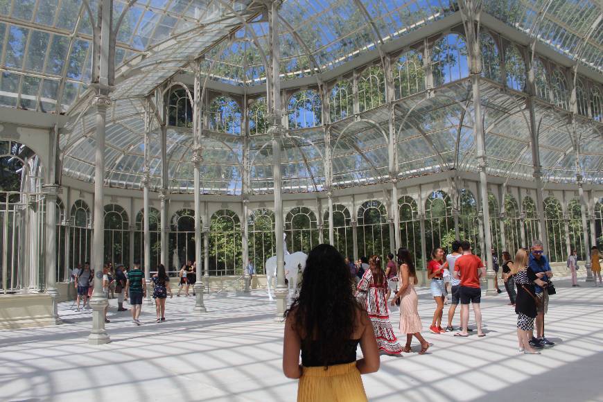 Lugar Palacio de Cristal