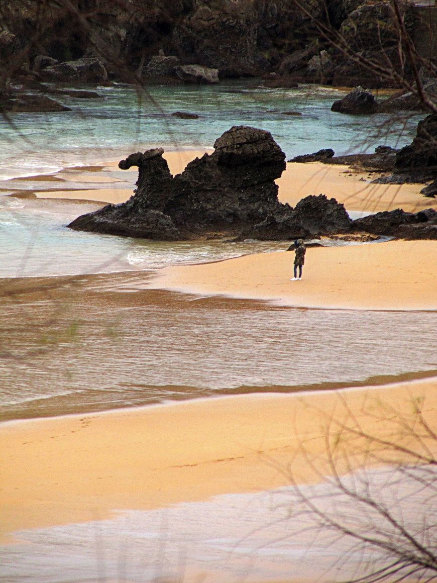 Place Playa del Camello