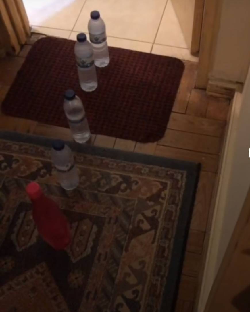 Social Saiu água da casa de banho