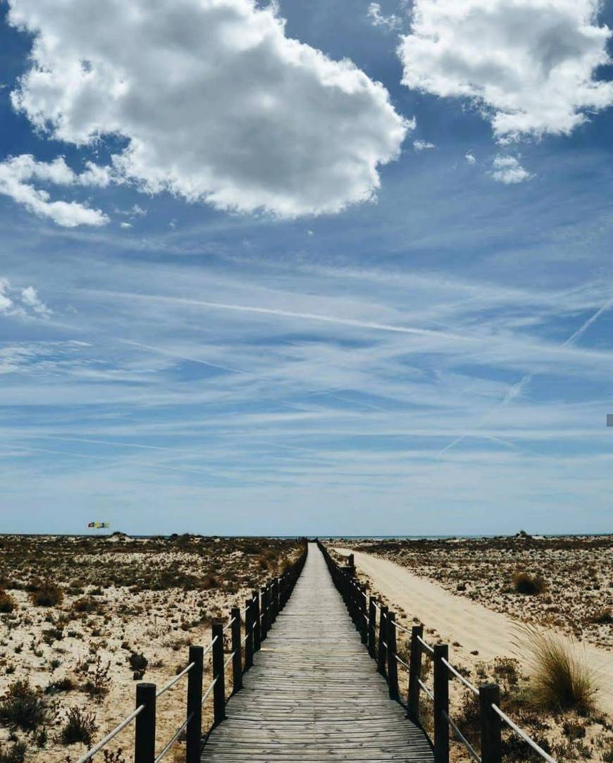 Lugar Ilha da Armona