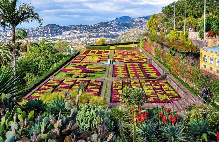 Place Jardín Botánico de Madeira