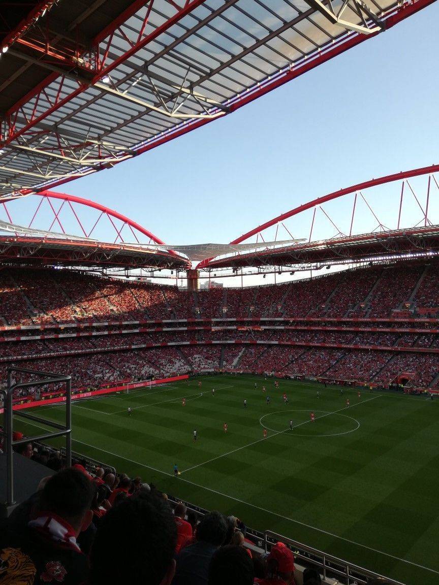 Moda Benfica 2019 