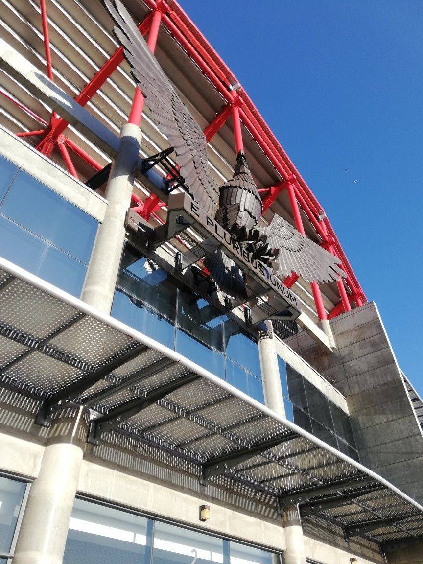 Moda Estádio da Luz ⚽❤