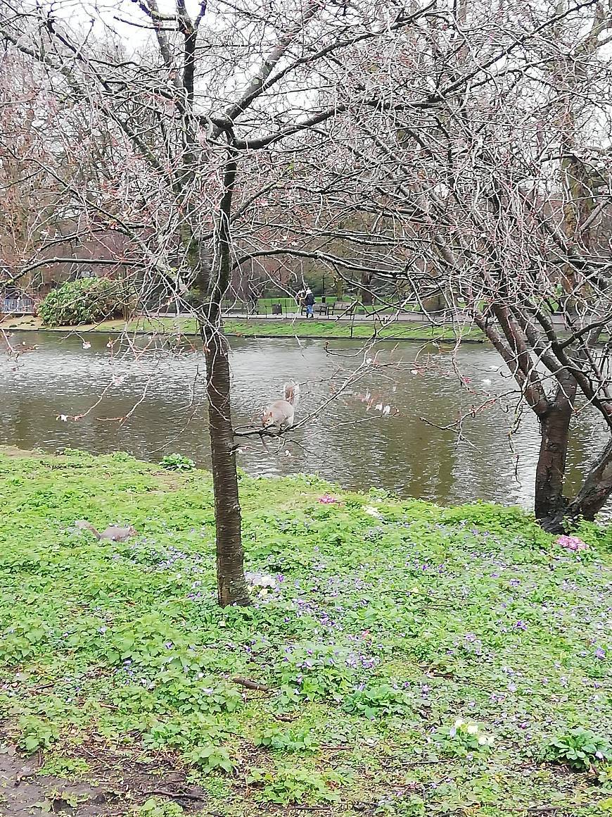 Lugar St James' Park