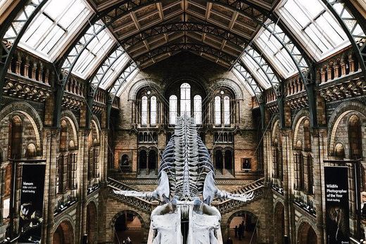 Natural History Museum