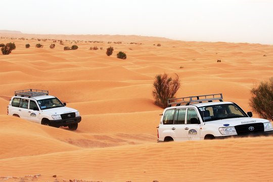 Lugar Sahara Desert Tours