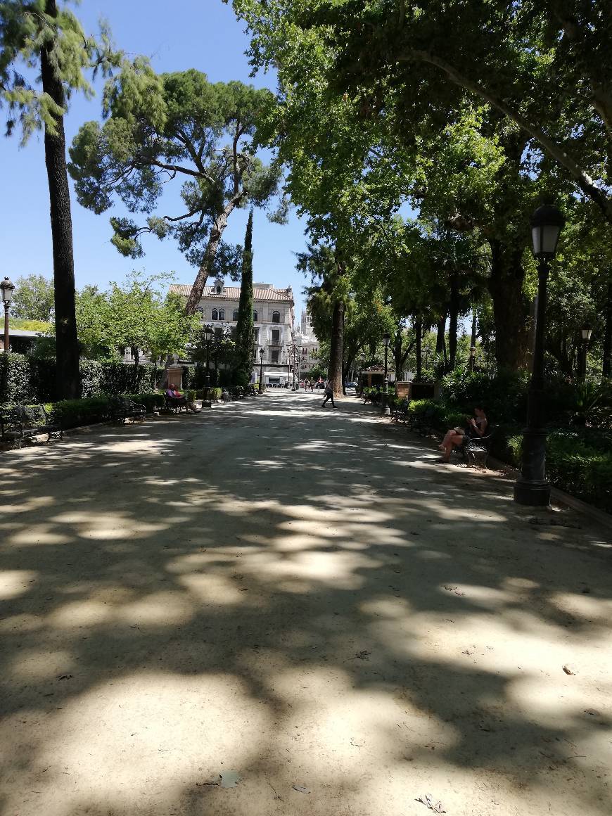 Lugar Parque de María Luisa