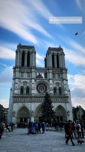 Notre Dame