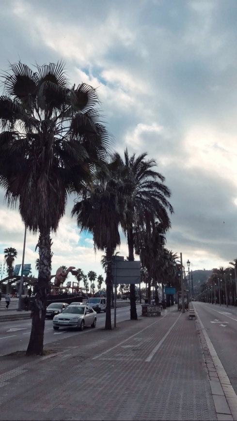 Places Paseo Marítimo de Badalona