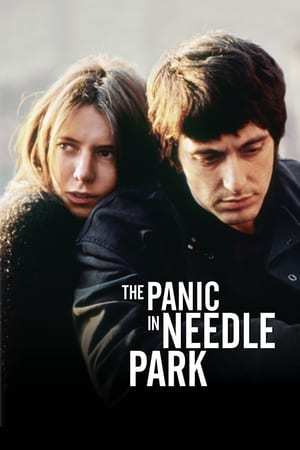 Película Pánico en Needle Park