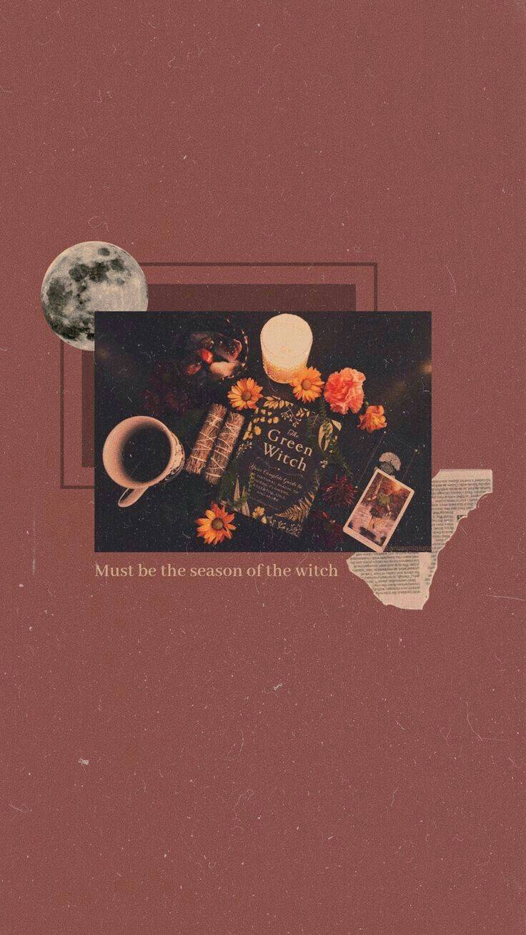 Social 𝚊𝚎𝚜𝚝𝚑𝚎𝚝𝚒𝚌 𝚠𝚊𝚕𝚕𝚙𝚊𝚙𝚎𝚛 pt17